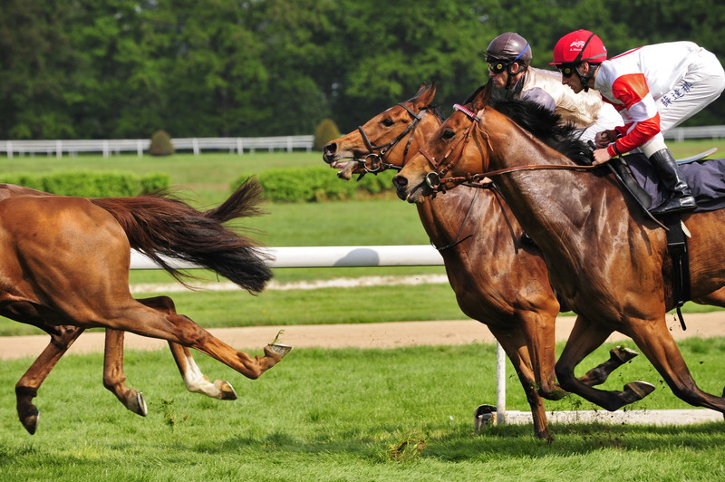 日本競馬